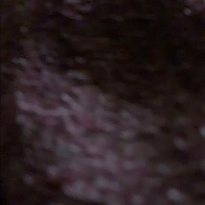 Meet your Posher, Priscilla